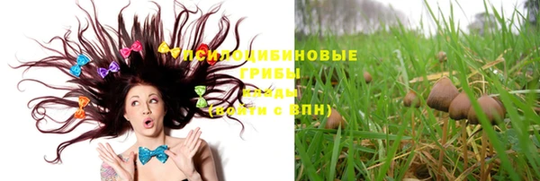 винт Алексеевка