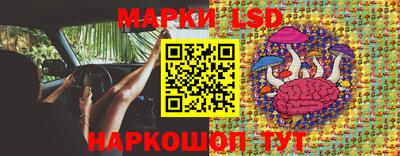 apvp Аргун